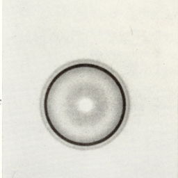 list image