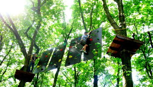 treetree kinder parcour