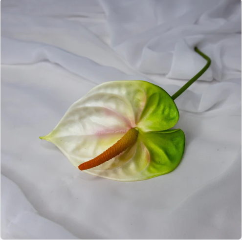 Anthurium Small White/Green - Realistic Artificial Flowers - Image 2
