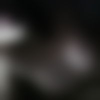 NOFANS PPV preview image