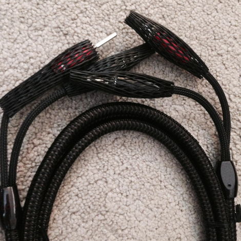** AudioQuest GO-4 72v DBS 8-Foot Speaker Cables (USA) ...