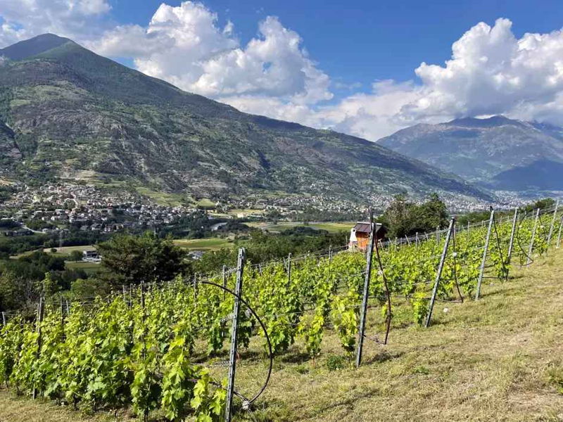 Cooking Classes Variney Chez Roncoz: Cooking Class in a cozy mountain village
