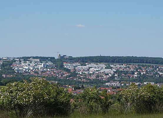  Ulm
- Ulmer Eselsberg