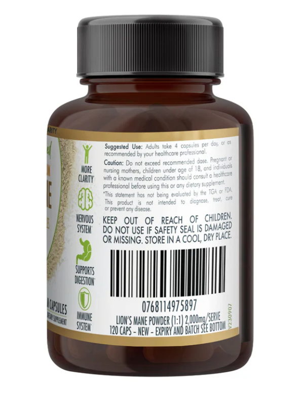 Lion's Mane Mushroom Hericium - Image 8