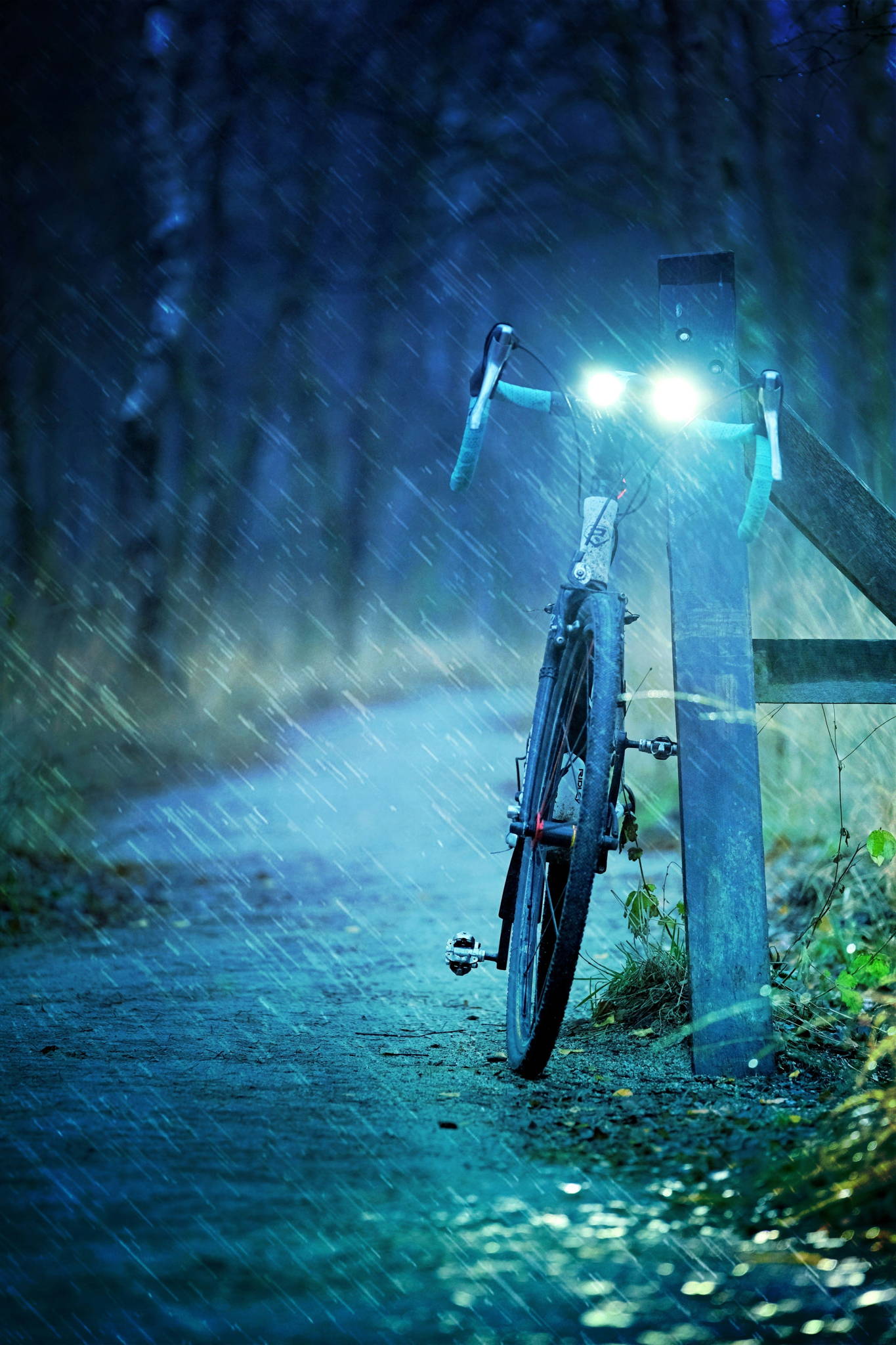 mountain bike elettrica