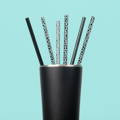 Spot On + Black Reusable Straws - Swig Life
