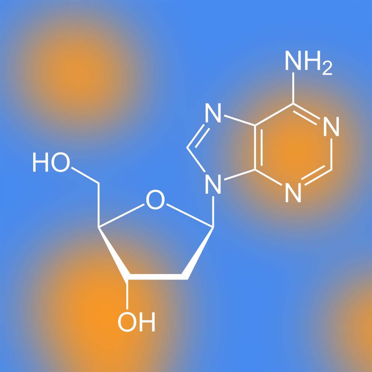 cordyceps