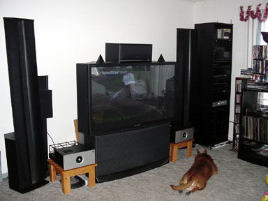 TV and HI Fi Room