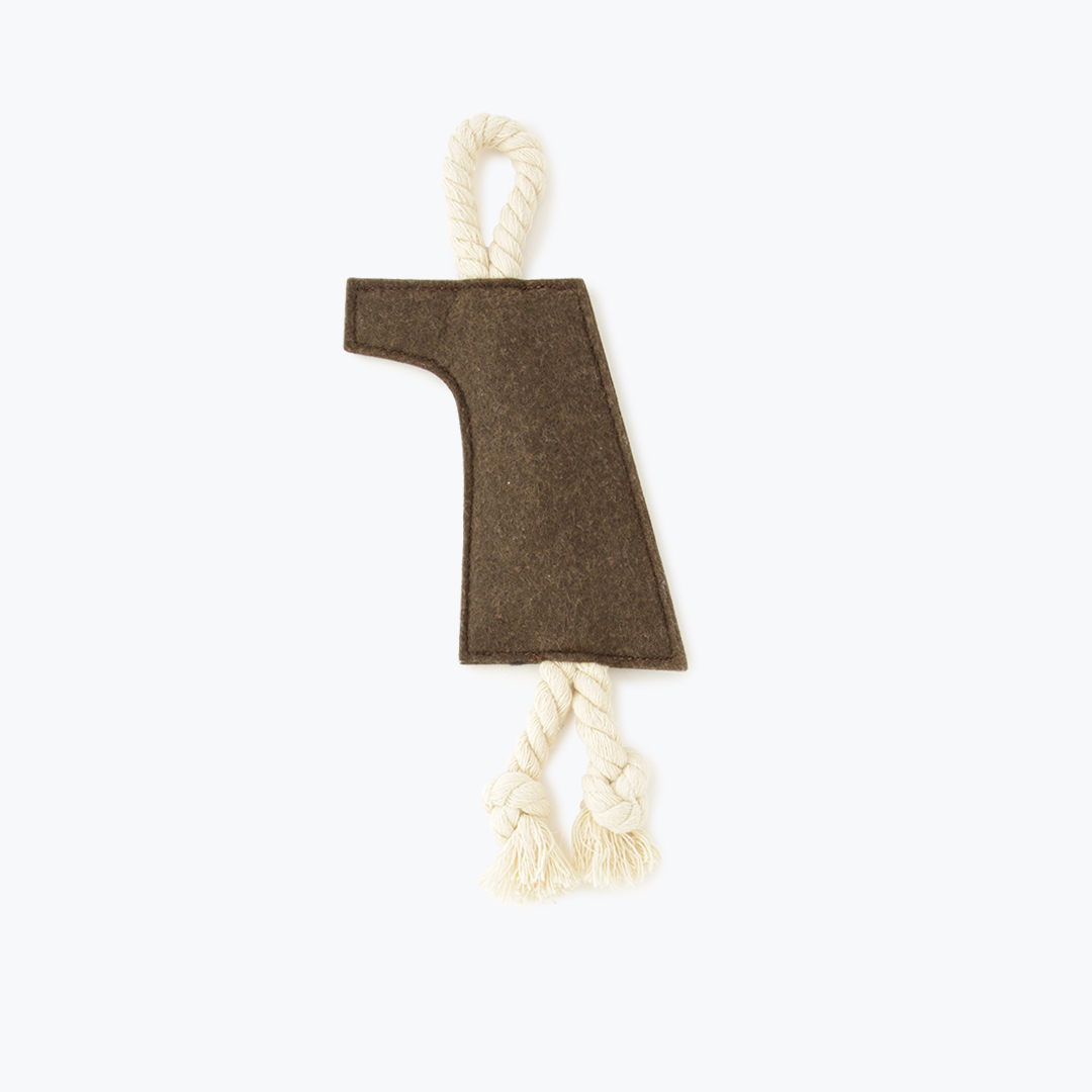 LOGO ROPE TOY