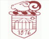 Stenhousemuir Cricket Club Logo