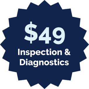 $49 Inspection and Diagnosis