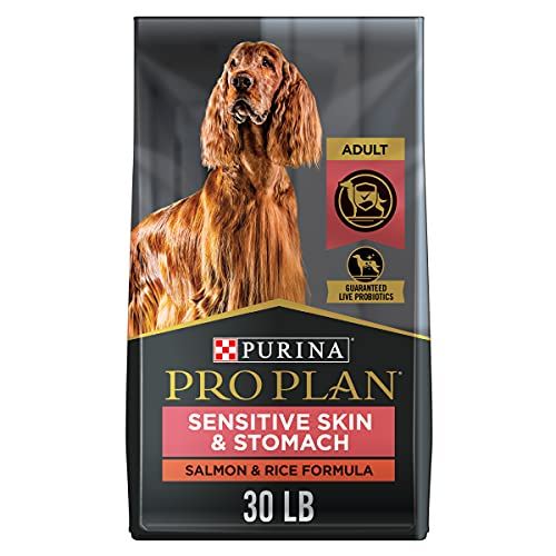 Purina Pro Plan Focus Vs Hill s Prescription Diet Kidney Care K d Dry Dog Food Slant