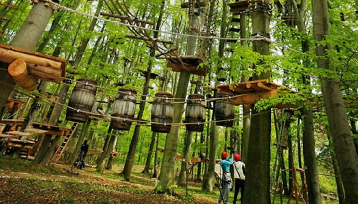 abenteuerpark potsdam blick in die baumkronen