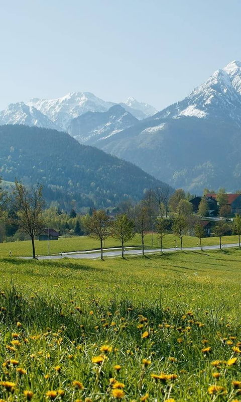Sommerurlaub in den Allgäuer Alpen