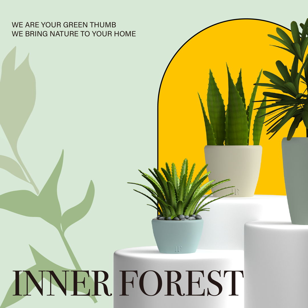 Image of Inner Forest