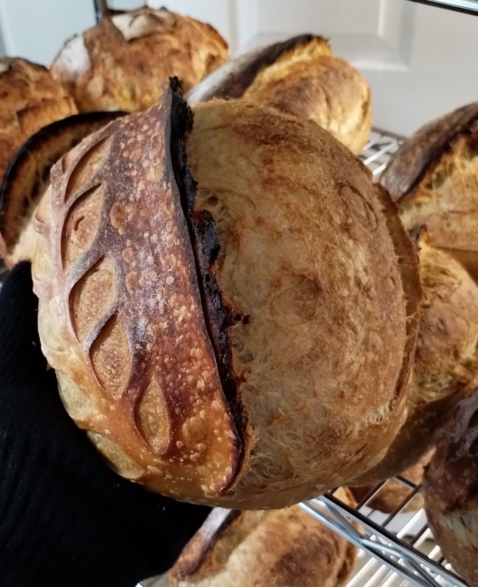 Bread and Sugar by Dali — photo from hotplate.com