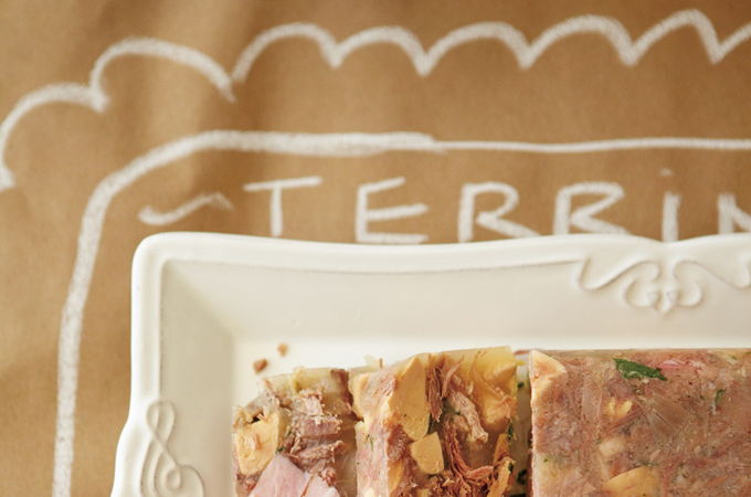 Terrine de canard en gelée