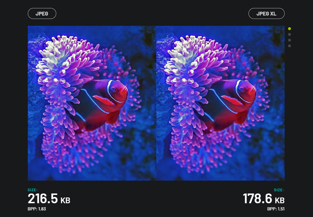 JPEG XL lossless transcoding. Source: jpegxl.info