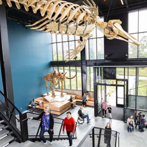 Burke Museum of Natural History - Dual Annual Membership