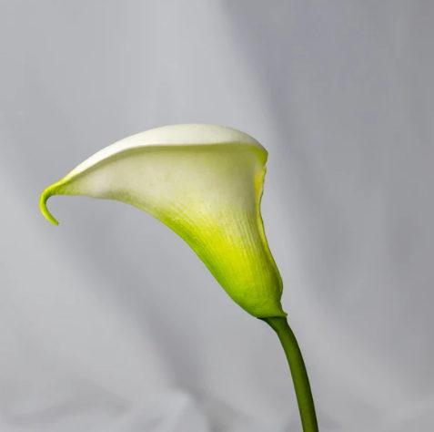 White Buttonhole Calla Lily -Realistic Artificial Flowers - Image 3