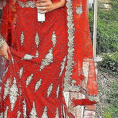 roter Sari