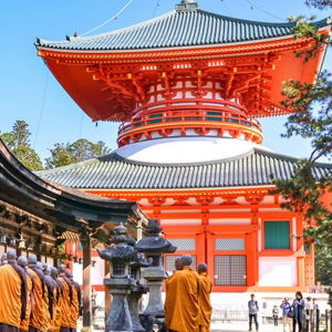 Admission to Temples, Shrines, and Museums