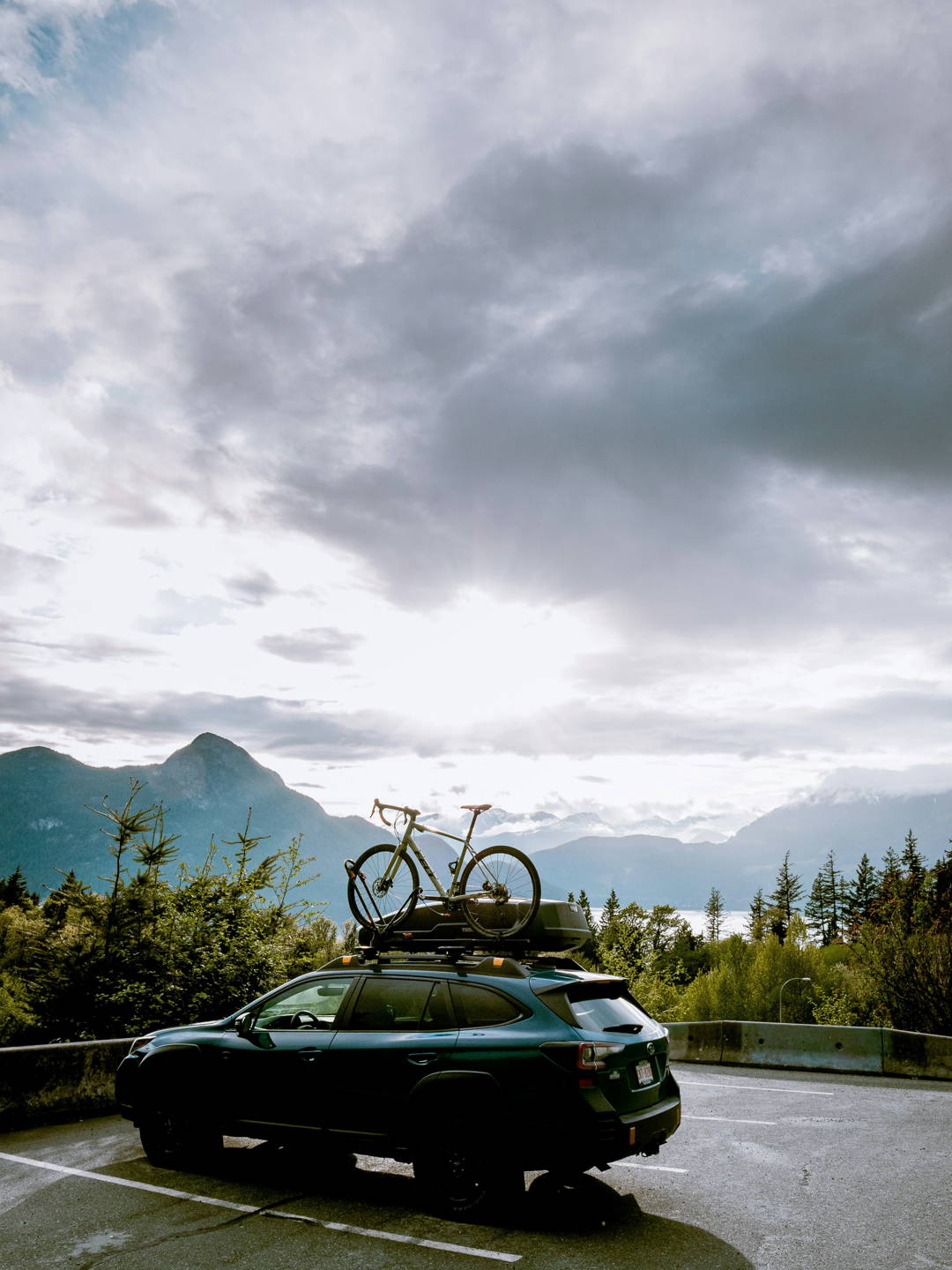 mountain bike elettrica