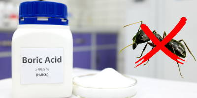 pest_management