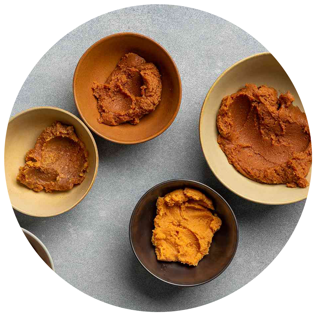 bowls of miso as a source of Probiotics in the best probiotics in singapore