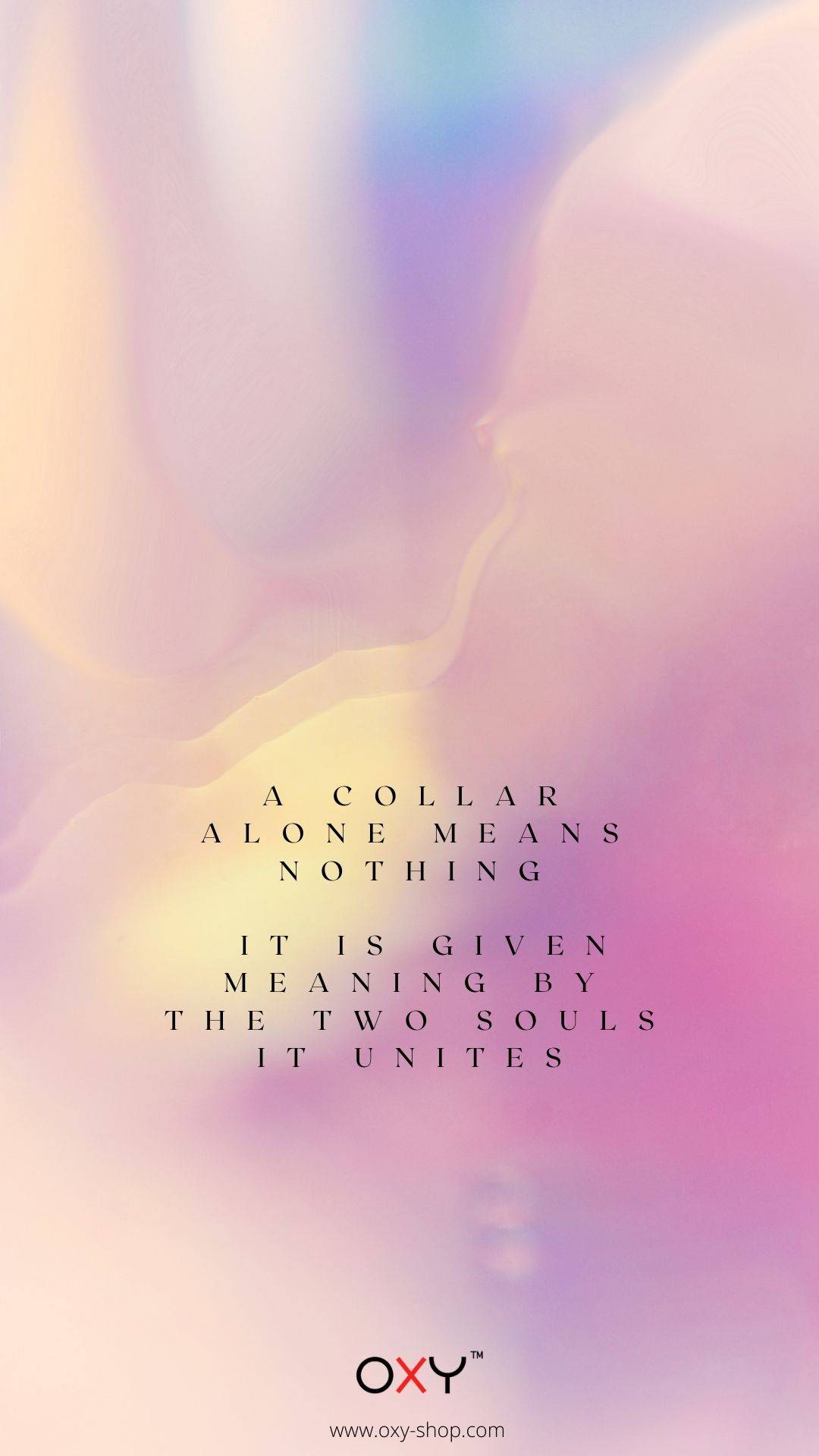 A collar alone means nothing, it is given meaning by the two souls it unites- BDSM wallpaper