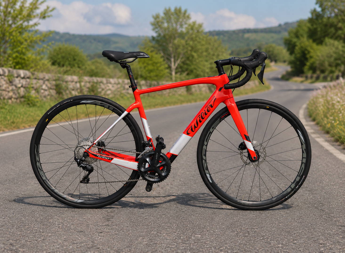 mountain bike elettrica