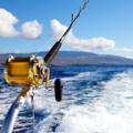 offshore dorado fishing