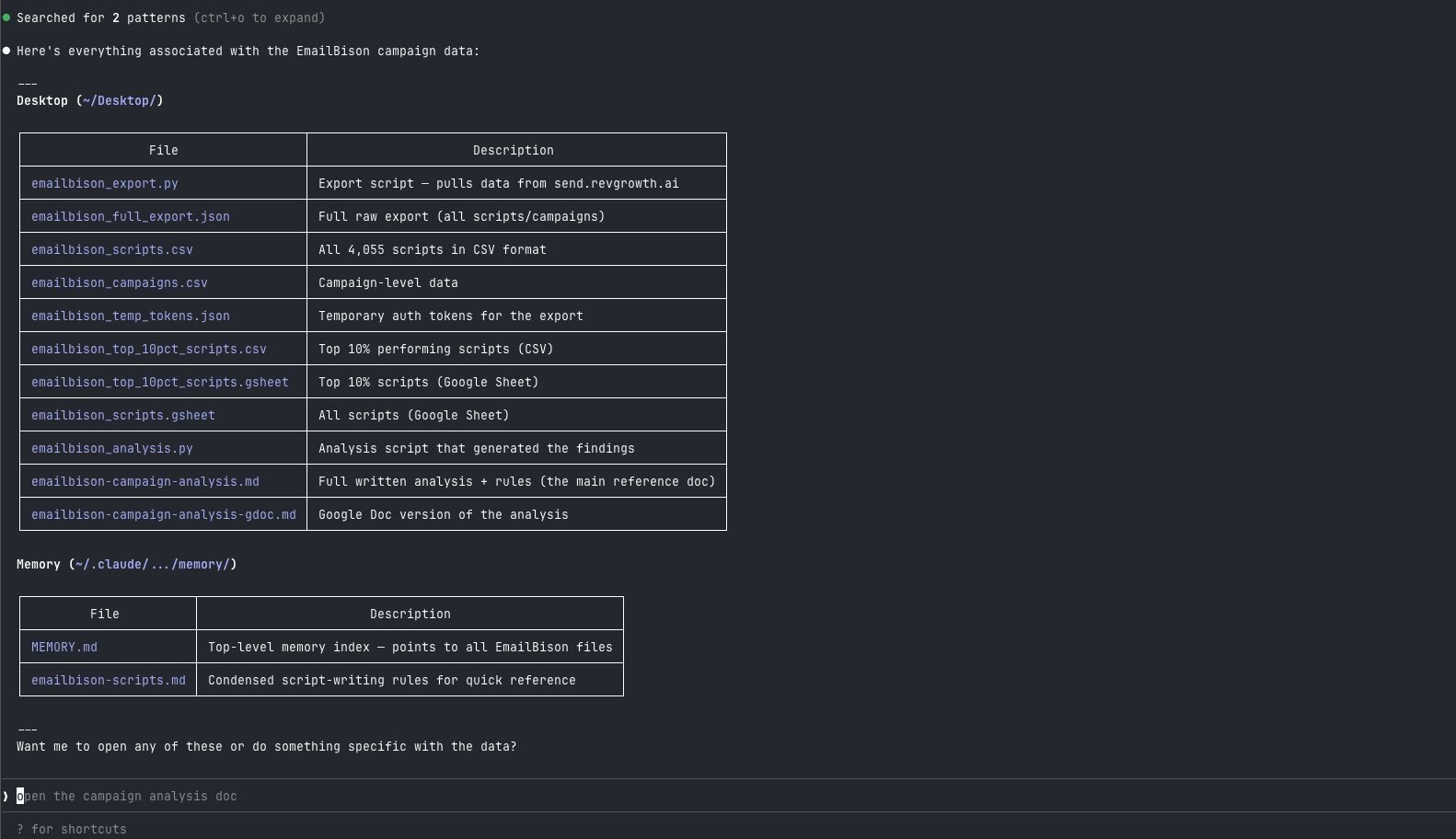 Claude Code Analyzes Cold Email Campaigns