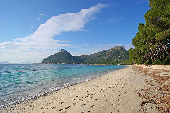  Pollensa
- One of the most beautiful beaches on Mallorca - Playa de Formentor