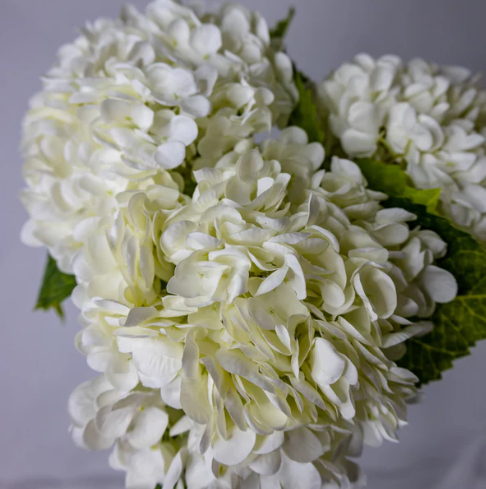 White Real Touch Hydrangea - Realistic Artificial Flowers - Image 2