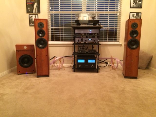 Dynaudios natural Cherry 