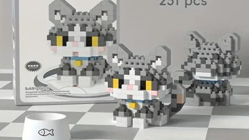 Main Content Image