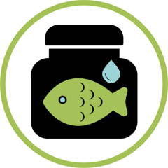 Green Lipped Mussel