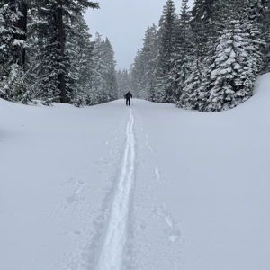 Ski Fund