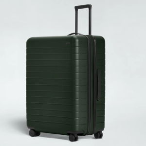 Away Large Flex Luggage in Green
