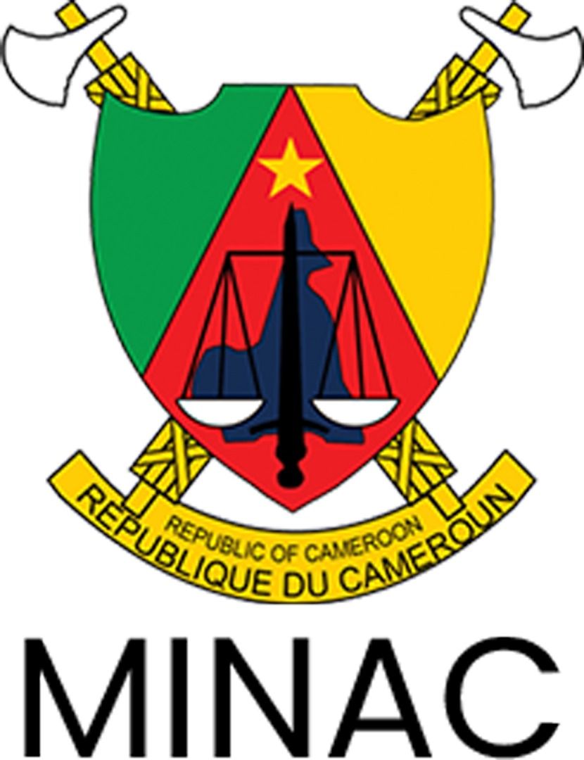 MINISTÈRE DES ARTS ET DE LA CULTURE