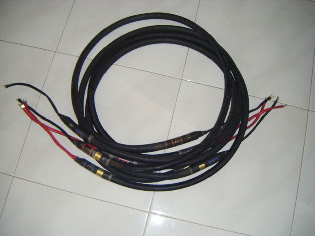 Purist Audio Design Proteus Rev B  Speaker  cable 2.5 m...