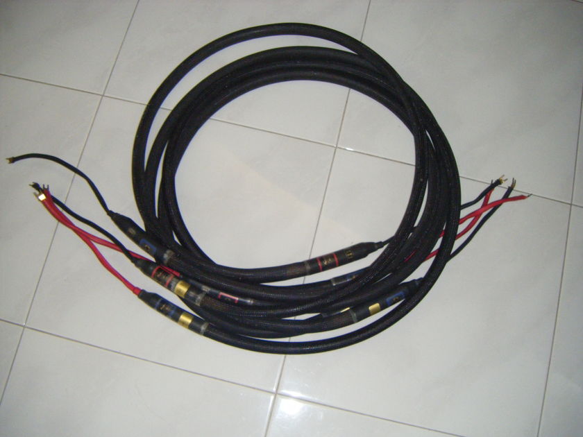 Purist Audio Design Proteus Rev B  Speaker  cable 2.5 meter