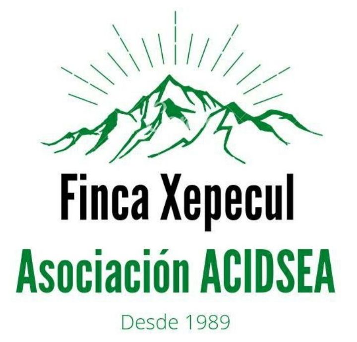 logo ACIDSEA