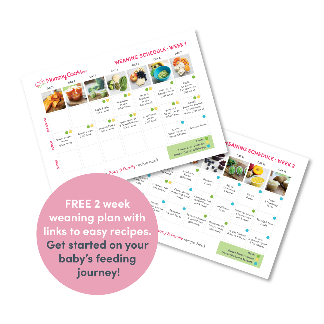 Free 2 Week Weaning Plan for Introducing Food and Feeding Baby