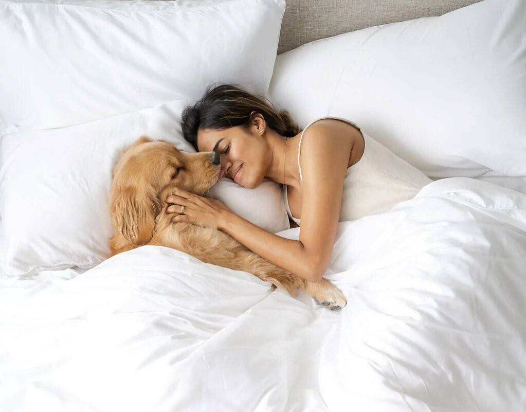 Woman and her dog lying on white bed sheets