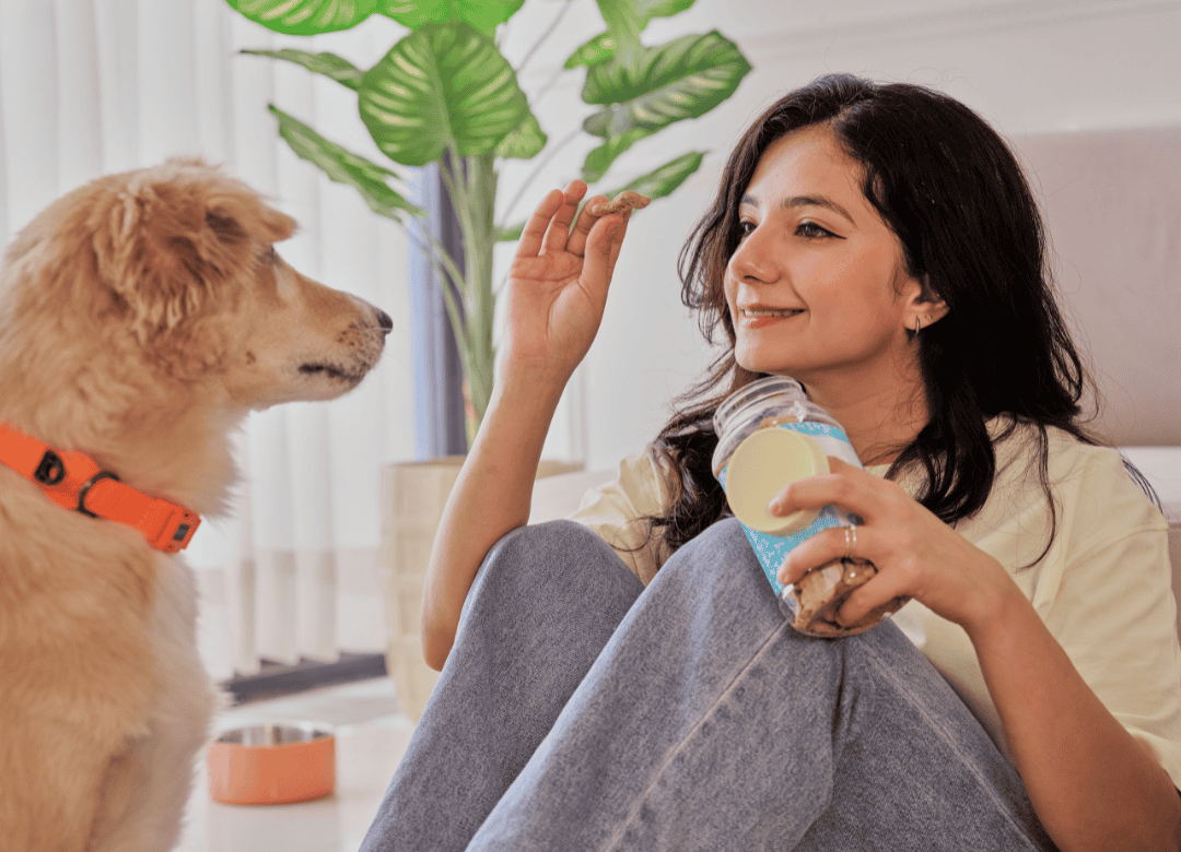 Create Your Pup’s Favorite Dog Treats With This Free Tool