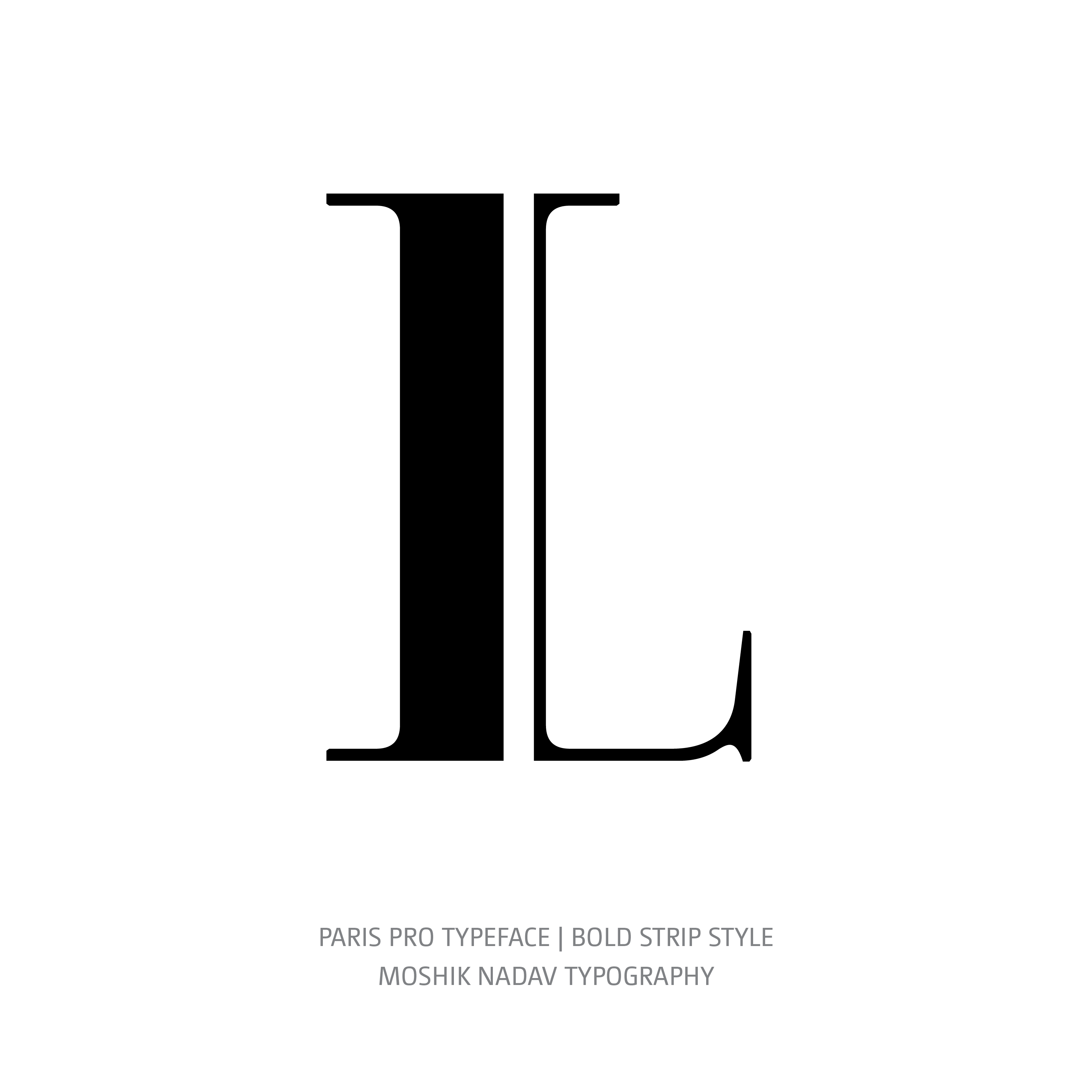 Paris Pro Typeface Bold Strip L