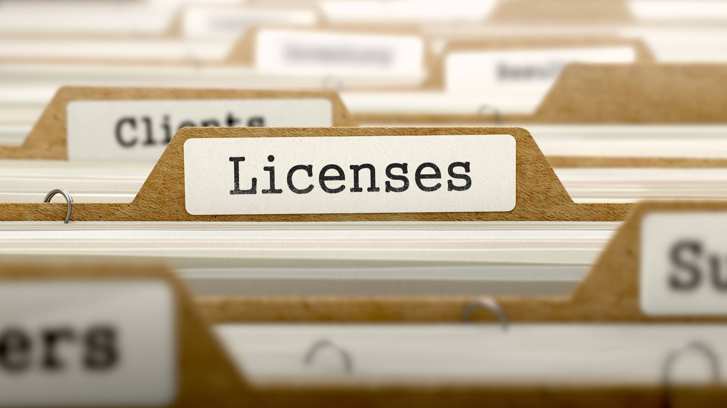 delaware business license preparation service