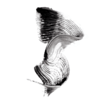 CURLS RULE! Mascara - Image 2